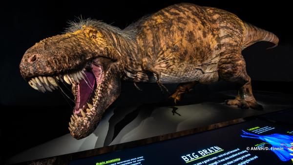 T. rex