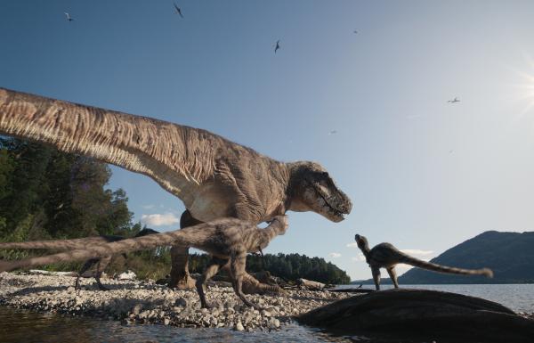 T. rex 3D